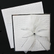 Invitation 141 -1125